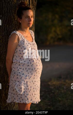 Junge schwangere Frau bei Sonnenuntergang Stockfoto
