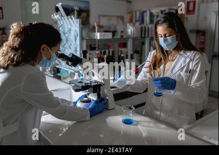 Junge Biochemie-Studentinnen in weißen Mänteln und Schutzmasken Und Handschuhe, die chemische Reaktion mit Mikroskop während des Experiments in erforschen M Stockfoto