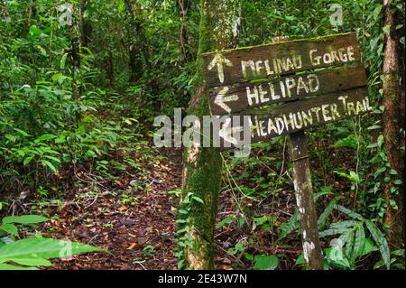 Headhunter Trail im Gunung Mulu National Park, Malaysia Stockfoto