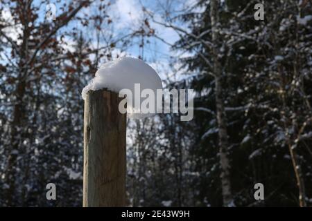 Nahaufnahme von weißen Schneekappen auf den Zaunpfosten In einem Wald Stockfoto