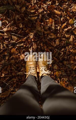 Von oben der Ernte unkenntlich weiblich in Jeans und Leder Stiefel stehen auf trocken gefallenen Blättern im Herbstwald Stockfoto
