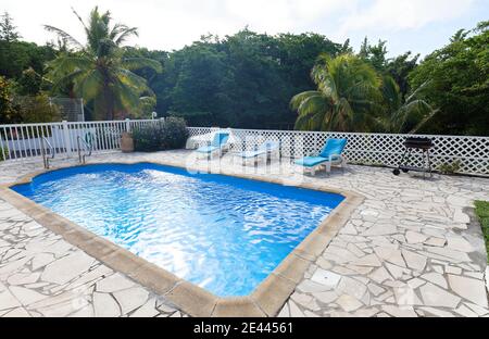 Liegestühle oder Liegestuhl am Pool mit Kokospalmen im Hintergrund, Insel Martinique. Stockfoto