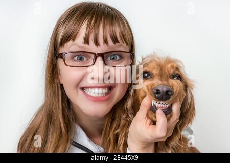 Lustig lächelnder Hund und Tierarzt in der Tierklinik - Tier Und tierärztliches Pflegekonzept für Haustiere Stockfoto