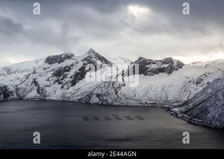 Drohnenansicht der Fischzucht in runden Käfigen schwimmend Auf dem Meerwasser im Winter schneebedeckten Hochland In Norwegen Stockfoto