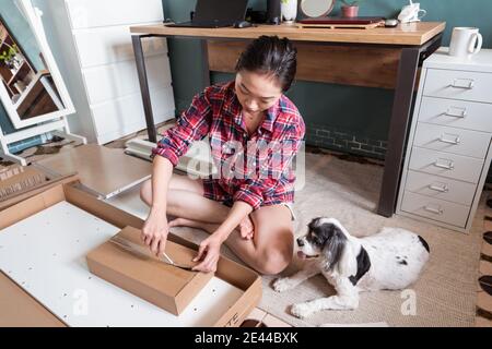 Von oben ethnische junge asiatische weibliche Auspacken Karton mit Ausstattung bei der Montage neuer Möbel in der Wohnung mit ute Hund Stockfoto