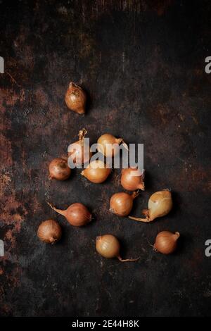 Draufsicht der Gruppe der Zwiebeln auf dunklem rustikalem Holz Hintergrund Stockfoto