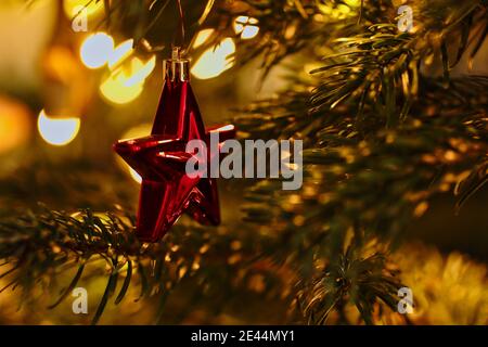 Hängender roter Weihnachtsstern Ornament auf Baumzweig während der festlichen Saison. Glänzender Sternschmuck auf dem Weihnachtsbaum. Stockfoto