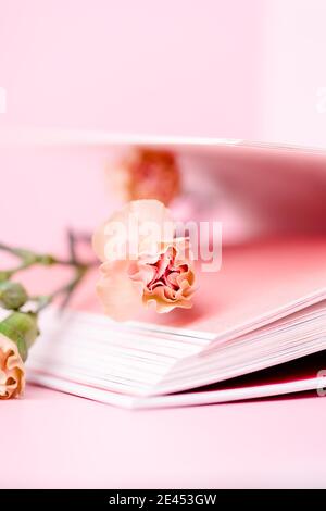 Kleine Nelke Tee Rose Farbe und offenes Buch auf einem rosa Hintergrund, Copy Space Stockfoto
