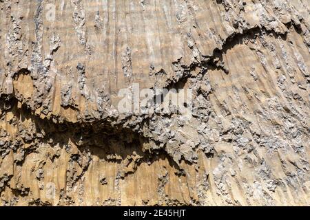 Nahaufnahme einer Felsstruktur, Yellowstone National Park Stockfoto