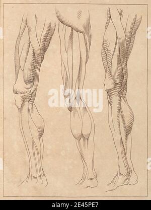 Hamlet Winstanley, 1698â € "1756, British, Anatomical Studies of Legs, 1716. Stift und braune Tinte; verso: Graphit auf Medium, leicht strukturiert, cremefarbenes Papier. Stockfoto