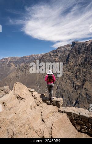 In der Colca-Schlucht im Süden Perus befindet sich der Andenkondor (Vultur gryphus). Es ist die zweittiefste Schlucht der Welt. Stockfoto