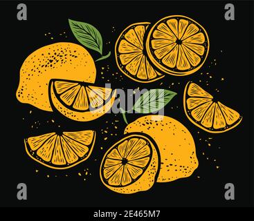 Frische Zitronen, Blätter. Lebendige saftige reife Zitrusfrüchte. Satz von ganzen, in zwei Hälften geschnitten, auf Stücke Früchte geschnitten Stock Vektor
