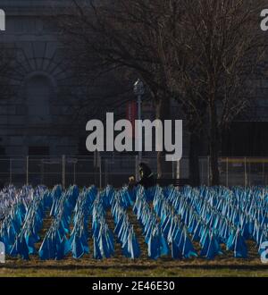 Washington, District of Columbia, USA. Januar 2021. Am frühen Morgen leuchtete Sonnenlicht einige der fast 200,000 Flaggen auf der National Mall gepflanzt, um für die Tausende von Menschen, die nicht teilnehmen konnten wegen der Coronavirus-Pandemie und strenge Sicherheit füllen. Sie repräsentierten die 50 Staaten, den Distrikt von Kolumbien und die fünf US-Territorien von Amerikanisch-Samoa, Guam, Nördlichen Marianen, Puerto Rico und den Amerikanischen Jungferninseln. Quelle: Sue Dorfman/ZUMA Wire/Alamy Live News Stockfoto