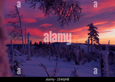 Ein schöner Winter in den Schlesischen Beskiden. Malinowska Skala - ein tropischer Gipfel im Hauptkamm des Barania Gora Gebirges in den schlesischen Beskiden in Stockfoto