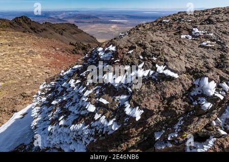 Hartes Rimieis, das sich während eines eisigen Nebels und Windes auf dem Steens Mountain, Oregon, USA, bildete Stockfoto