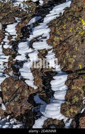 Hartes Rimieis, das sich während eines eisigen Nebels und Windes auf dem Steens Mountain, Oregon, USA, bildete Stockfoto