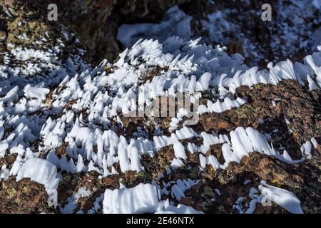 Hartes Rimieis, das sich während eines eisigen Nebels und Windes auf dem Steens Mountain, Oregon, USA, bildete Stockfoto