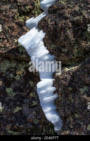 Hartes Rimieis, das sich während eines eisigen Nebels und Windes auf dem Steens Mountain, Oregon, USA, bildete Stockfoto