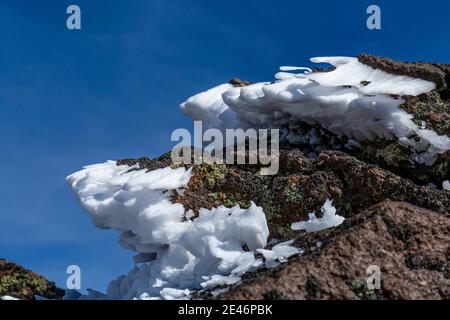 Hartes Rimieis, das sich während eines eisigen Nebels und Windes auf dem Steens Mountain, Oregon, USA, bildete Stockfoto