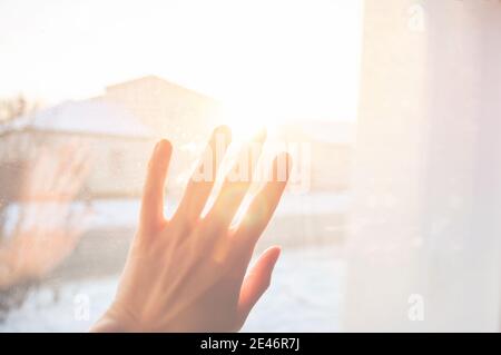 Weibliche Hand mit Fingern ausgebreitet in das Licht in der Strahlen der goldenen Sonne Stockfoto