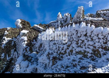 Hartes Rimieis, das sich während eines eisigen Nebels und Windes auf dem Steens Mountain, Oregon, USA, bildete Stockfoto