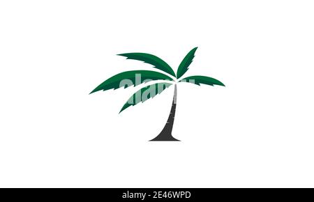 Kokospalme oder Palme modernes flaches Logo Symbol Symbol vektorgrafik Design Stock Vektor