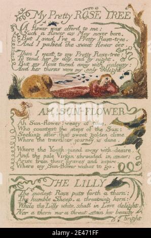 William Blake, 1757–1827, Brite, Songs of Innocence and of Experience, Platte 47, 'My Pretty Rose Tree' (Bentley 43), 1794. Farblich bedruckte Reliefradierung mit Aquarell auf mäßig dickem, leicht strukturiertem, cremefarbenem Wove-Papier. Vögel, Äste, historisches Thema, Knien, Blatt, Text, Bäume, Vegetation, Reben, Frauen Stockfoto