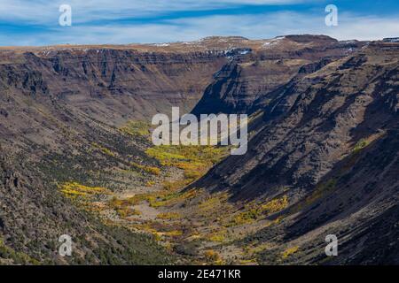 Blick in die glaziell geschnitzte Big Indian Gorge am Steens Mountain, Oregon, USA Stockfoto