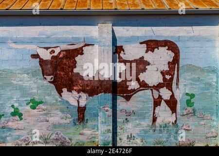 Wandbild eines Longhorn Steer, Bandera, Texas, USA Stockfoto