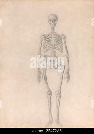 George Stubbs, 1724–1806, britisch, menschliches Skelett, Vorderansicht (abgeschlossene Studie für Tabelle I), 1795 bis 1806. Graphit auf mäßig dickem, leicht strukturiertem, cremefarbenem Wove-Papier. Anatomische Studie, Anatomie, Front, Mann, Skelett Stockfoto