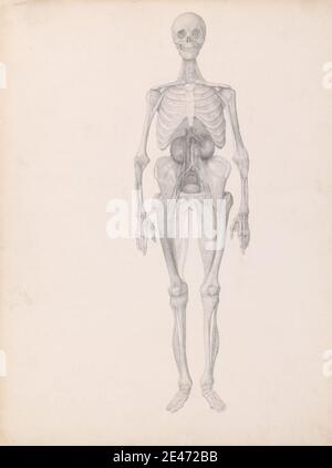 George Stubbs, 1724–1806, Britisch, menschliche Figur, Vorderansicht (Abschlussstudie der letzten Dissektionsstufe), 1795 bis 1806. Graphit auf mäßig dickem, leicht strukturiertem, cremefarbenem Wove-Papier. Anatomische Studie, Anatomie, Figurenstudie, Front, Mann, Skelett Stockfoto