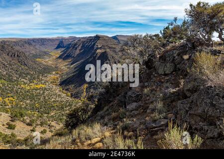 Blick in die glaziell geschnitzte Big Indian Gorge am Steens Mountain, Oregon, USA Stockfoto