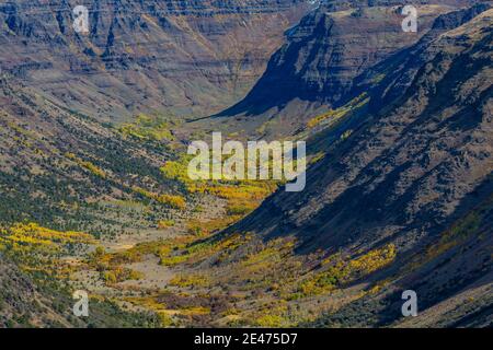 Blick in die glaziell geschnitzte Big Indian Gorge am Steens Mountain, Oregon, USA Stockfoto