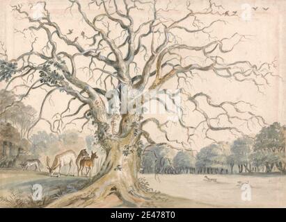 William Byron, Fourth Baron Byron, 1669–1736, British, View of a Park with Deer, undated. Aquarell, mit Feder, in brauner Tinte, Graphit, Gouache und Gold auf Medium, leicht strukturiert, creme, getuschtes Papier, montiert auf, mäßig dick, leicht strukturiert, creme, getuschtes Papier. Hirsch, Landschaft, Park (Gelände), Wurzeln, Baum Stockfoto