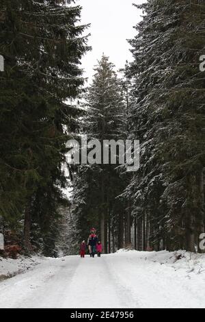 Vertikale Aufnahme des Vaters mit seinen Kindern zu Fuß die Schneebedeckter Pfad, umgeben von Bäumen Stockfoto