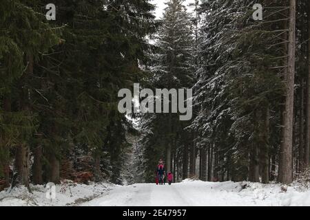 Blick auf einen Vater mit seinen Kindern, die die Schneebedeckter Pfad, umgeben von Bäumen Stockfoto