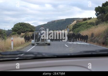 Straßenblock im neuseeländischen Stil Stockfoto