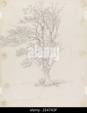 Sir George Howland Beaumont Seventh Baronet, 1753–1827, britisch, Tree at Easton Park, 1787. Graphit auf Medium, leicht strukturiert, cremefarbenes Papier. Landschaft, Baum Stockfoto