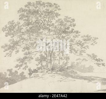 Sir George Howland Beaumont Seventh Baronet, 1753–1827, British, Tree, 1790er. Graphit und Grau waschen auf mäßig dickem, leicht strukturiertem, cremefarbenem Wove-Papier. Landschaft, Baum Stockfoto