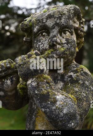 Eine Flechten und Moos bedeckte alte Steinstatue eines Cherubs, der auf dem Gelände des Hatley Castle in Colwood, British Columbia, Kanada, auf Vancouvert eine Flöte spielt Stockfoto