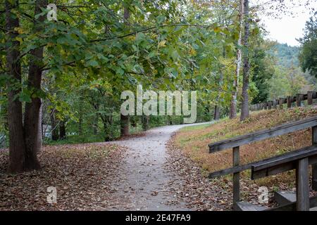 Fußweg im Park Stockfoto