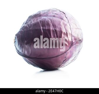 Frischen Rotkohl auf weißem Hintergrund. Stockfoto