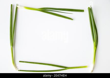 Grüne Zwiebeln bilden ein Quadrat isoliert auf einem weißen Hintergrund Stockfoto