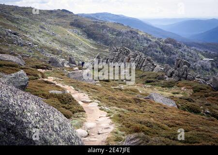 Kosciuszko National Park, Thredbo, NSW Australien Stockfoto