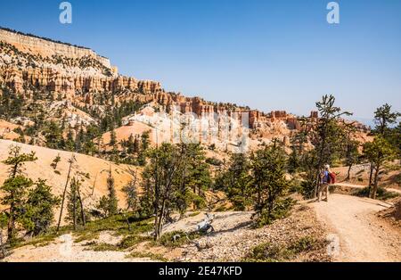 Eine Frau, die den Fairyland Loop Trail im Bryce Canyon National Park, Utah, USA, wandert. Stockfoto