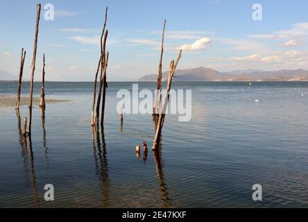 Schöner Blick über den Erhai See in Dali, sauberes Wasser und klarer Himmel und eine wunderbare Bergkulisse. Stockfoto