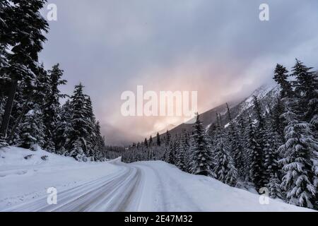 Leere verwinkelte Snowy Mountain Road im Winter. Verschneite Bäume mit Foggy Sonnenuntergang mit Niemand. Highway 99, Pemberton, British Columbia, Kanada. Stockfoto