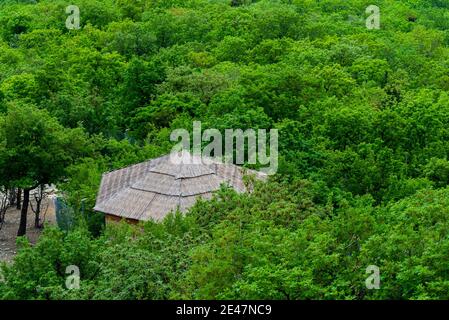 Luftaufnahme auf dem Dach der kleinen Hütte mit dem Dach von den natürlichen Materialien im Wald. Stockfoto