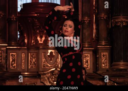 Die Flamencotänzerin tanzt mit großer Leidenschaft Stockfoto