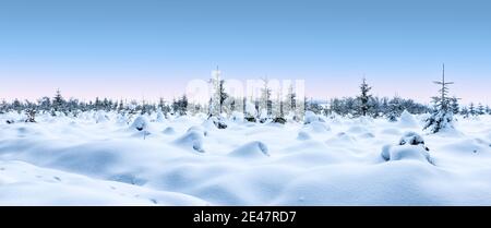 Panorama-Winterschneelandschaft mit schneebedeckten Bäumen. Stockfoto